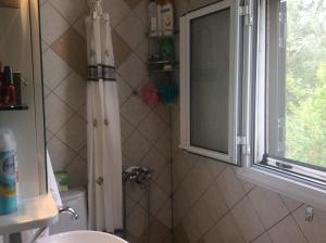 a bathroom with a shower with a sink and a window at Anastasia's Cottage in Oikhalía +32 photos