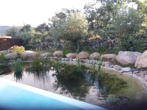 a pool of water with rocks in a garden at Monte das Mariolas in Castelo de Vide