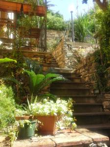 a set of stairs in a garden with plants at Sole Terra Mare in Corniglia