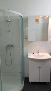 Koupelna v ubytování Apartments Luka