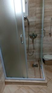 a shower with a glass door in a bathroom at Djurdja Apartment in Arandelovac +29 photos
