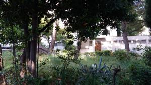 Zahrada ubytování Apartments Lovor