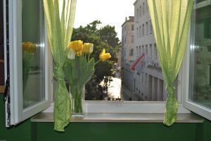 a window with flowers in vases on a window sill at Optimist split/city center in Split
