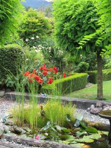 Zahrada ubytování Marchmont Gardens
