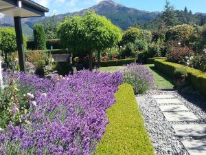Nespecifikovaný výhled na hory nebo výhled na hory při pohledu z bed and breakfast