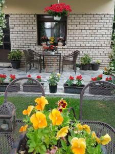 a patio with a bunch of flowers and chairs at Guest House Vaso in Orma