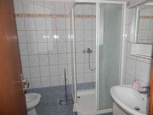 ein Bad mit einer Dusche, einem WC und einem Waschbecken in der Unterkunft Apartments Vilanija in Vilanija