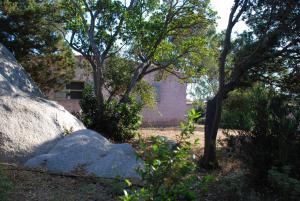 a yard with trees and a building in the background at Residence Ribellinu in Pianottoli-Caldarello