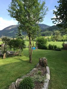 a tree in the middle of a yard with mountains in the background at Pension Brixen im Thale in Brixen im Thale