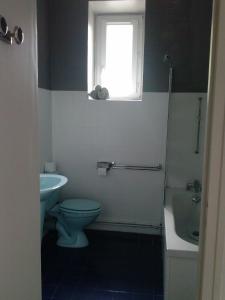 baño con aseo y lavabo y ventana en Hotel du parc, en Vergt