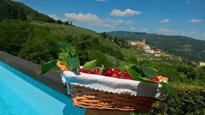 Vista generica sulle montagne o vista sulle montagne dall'interno della villa