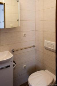 a small bathroom with a toilet and a mirror at Cres in Cres