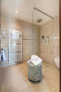 ein Bad mit einer Dusche und einem WC in der Unterkunft Boutique Hotel Adria in Wels