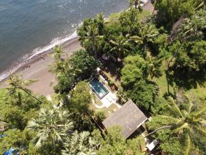 an aerial view of a beach with palm trees at Octopus Villas in Tejakula