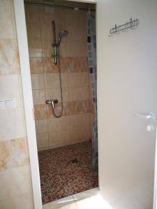 a bathroom with a shower with a shower head at Liela Guest Apartament in Liepāja