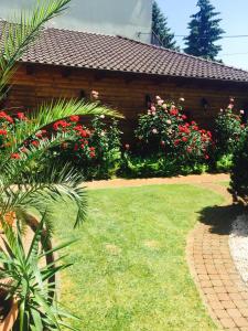 a garden with red flowers and a house at Alfrédó Delux Apartman Nyíregyháza-Sóstófürdő in Nyíregyháza