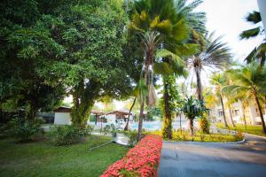 een tuin met palmbomen en een weg met bloemen bij Aipana Plaza Hotel in Boa Vista