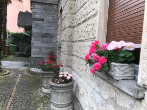 eine Gruppe von Blumen in Vasen an der Seite eines Gebäudes in der Unterkunft Belforte in Locarno