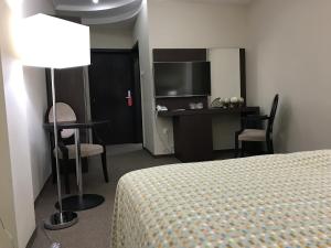 TV a/nebo společenská místnost v ubytování Hotel Alex