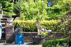 Afbeelding uit fotogalerij van Huize Mesch in Eijsden