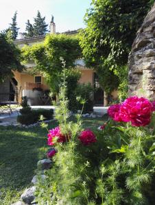 un giardino con fiori rosa di fronte a una casa di Chambres d'Hôtes La Chrysalide a Loriol-du-Comtat