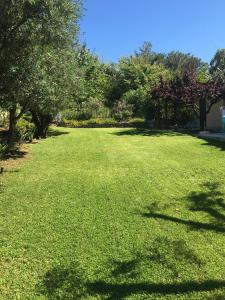 En have udenfor Terpsichori villa and apartments + 53 billeder