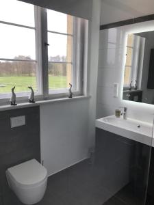 a bathroom with a toilet and a sink and a window at Schloss Grabow in Grabow