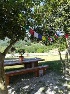 a picnic table sitting under a tree with a flag at Agriturismo dei Legi in San Pietro Vara