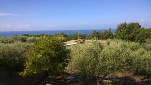 Imagen de la galería de La scogliera del capo, en Santa María 42 fotos más