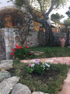 Zahrada ubytování I Mari Di Gallura Suites and Rooms