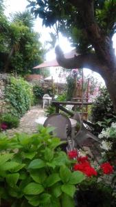a park with a bench and some flowers and a tree at Sole Terra Mare in Corniglia
