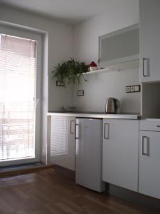 Kuchyňa alebo kuchynka v ubytovaní Apartment Za Poštou