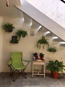 a green chair and a table with potted plants at Hotel Florida in Villahermosa