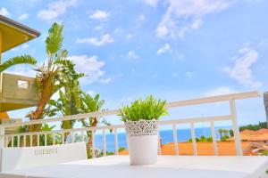 a potted plant sitting on a table on a balcony at Villa Alba in Acitrezza