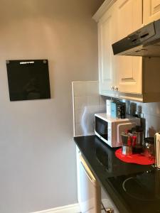 Kuchyň nebo kuchyňský kout v ubytování City Centre Georgian Apartment