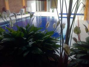Bazén v ubytování Hotel Tropico Real Mesitas nebo v jeho okolí