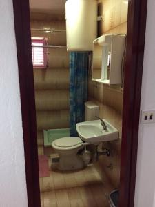 Billede fra billedgalleriet på Crveno Zlato i Biograd na Moru + 68 billeder