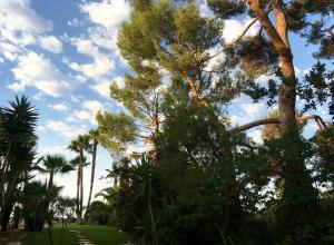 ラ・シオタにあるVilla Eriaの雲の多い公園内の木々
