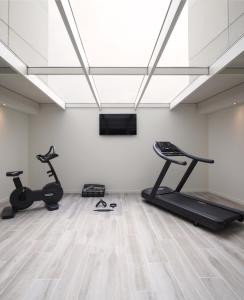 Fitness centrum a/nebo fitness zařízení v ubytování Hotel Rafael