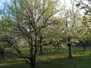 ザーンカにあるSunny Beachのギャラリーの写真