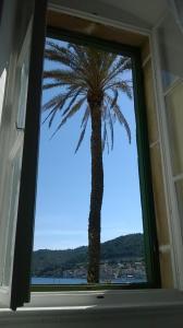 Gallery image of Apartment Marasovic in Vis