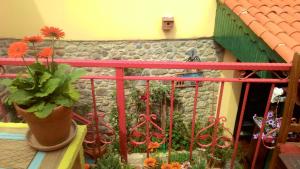 A garden outside Elaia Hotel