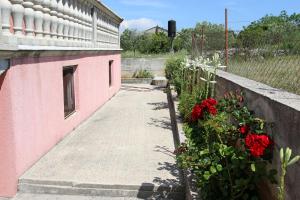 Zahrada ubytování Apartment Mirni Kutak