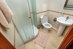 阿盧什塔的住宿－Hotel Edem，带淋浴、卫生间和盥洗盆的浴室