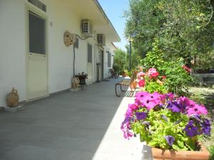 Budova, kde se bed and breakfast nachází