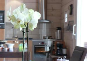 a vase with a white flower in a kitchen at Koitelin Residenssi in Oulu