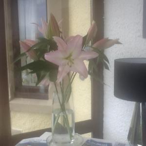a vase with pink flowers sitting on a table at "SUPERB-SEA-VIEWS"ROOM ONLY at WETHERBY NAIRN in Nairn