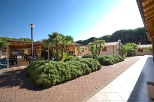 a brick walkway with trees and bushes in a courtyard at Golfo di Maremma Village in Albinia