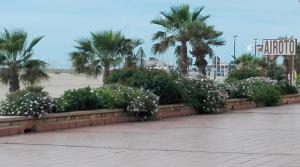Fotografie z fotogalerie ubytování A3A Baixa Mar v destinaci Torredembarra
