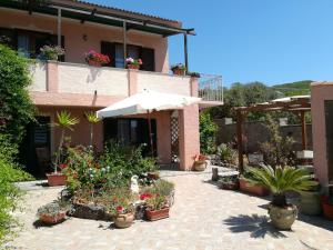 A garden outside Andrea E Valentina